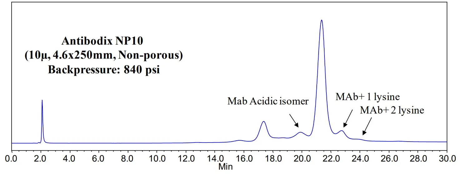 Ionenaustausch Applikation für die Ladungsvariantenanalyse von mAbs mit der Antibodix von Sepax