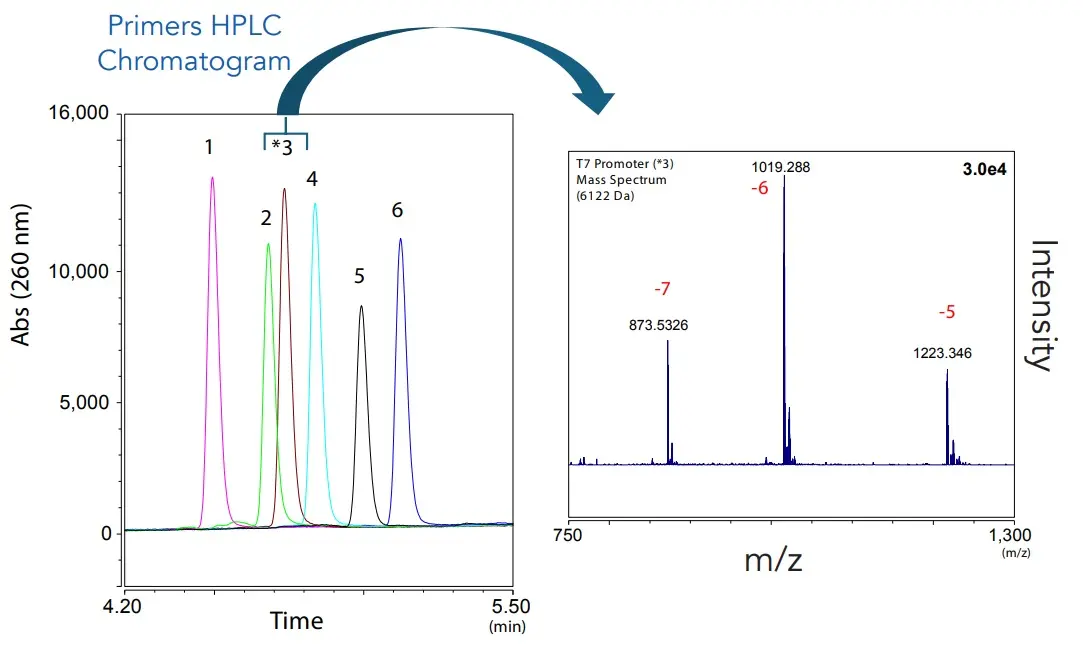 AMT HALO Oligo C18 Oligonucleotide MS Application